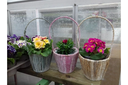Banana Leaf Basket & Flower Banana Leaf Basket & Flower