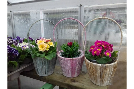 Banana Leaf Basket & Flower Banana Leaf Basket & Flower