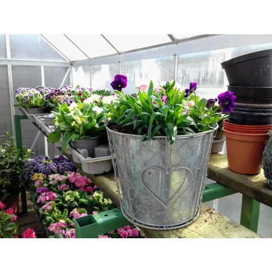 Pail Planter & Flowers