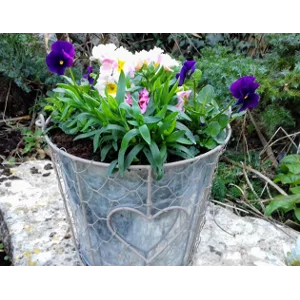 Mother's Day Gifts