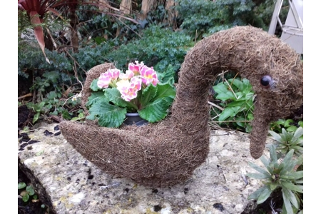 Salim Swan Planter & Seasonal Plant Salim Swan Planter & Seasonal Plant