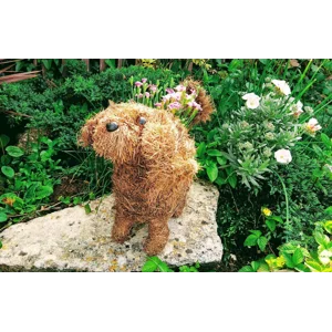 Animal Planters