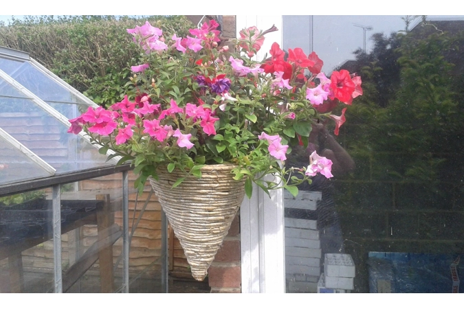 Hanging Basket Refills Hanging Basket Refills