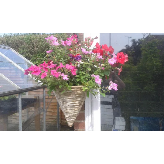 Hanging Basket Refills