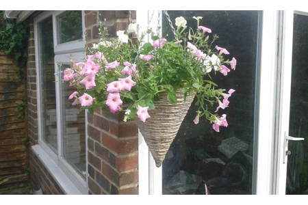 Hanging Basket Refills Hanging Basket Refills