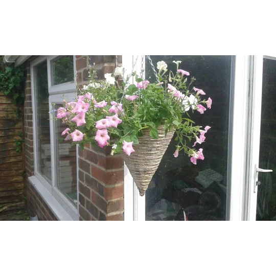 Hanging Basket Refills