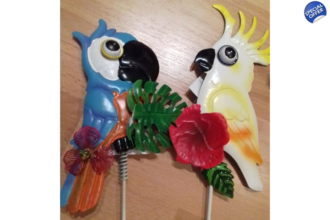 Set of 4 Parrot Garden Stakes Set of 4 Parrot Garden Stakes