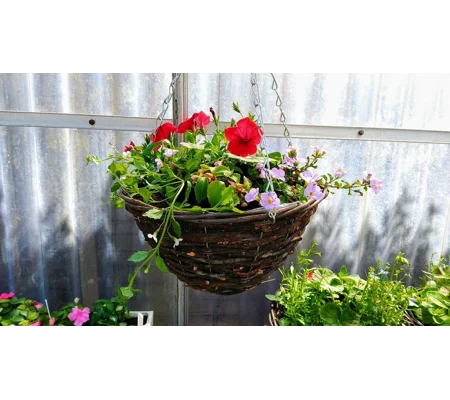 Pre-planted Hanging Baskets (With Seasonal plants)