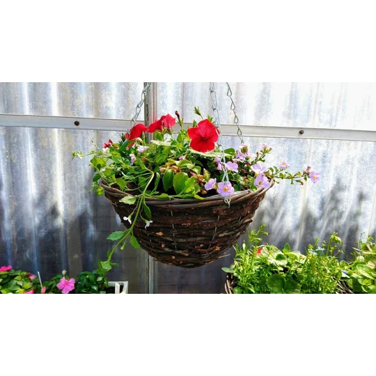 Pre-planted Hanging Baskets (With Seasonal plants)