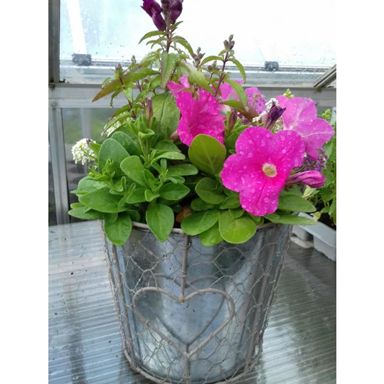 Pail Planter & Flowers