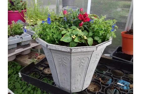 Hexagonal Planters Hexagonal Planters