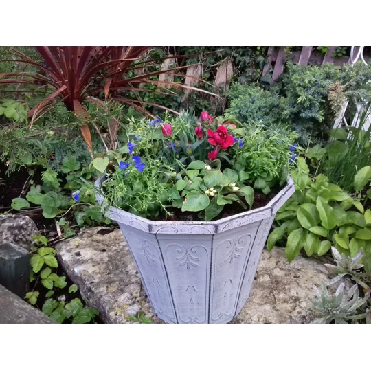 Hexagonal Planters