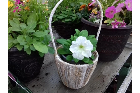 Banana Leaf Basket & Flower Banana Leaf Basket & Flower
