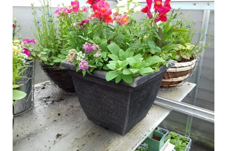 2 x Square Planters