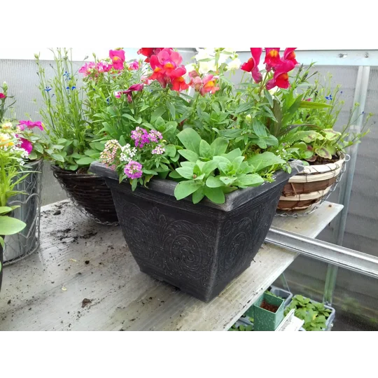 2 x Square Planters