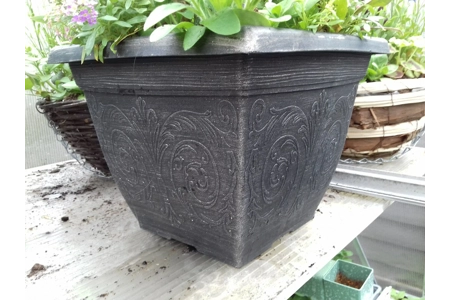 Square Planter with Summer Plants