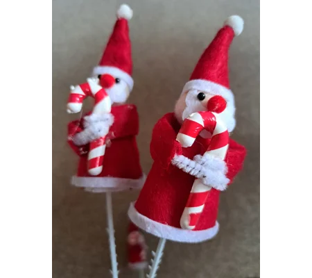Santa Picks