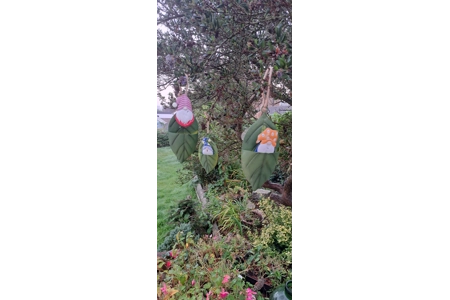 Leaf Hanging Gnomes Leaf Hanging Gnomes