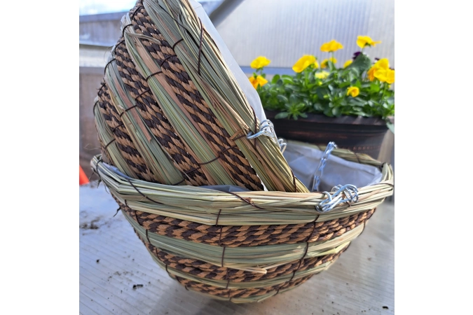 Plantation Hanging basket 12"