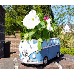 Patio Pot Gifts