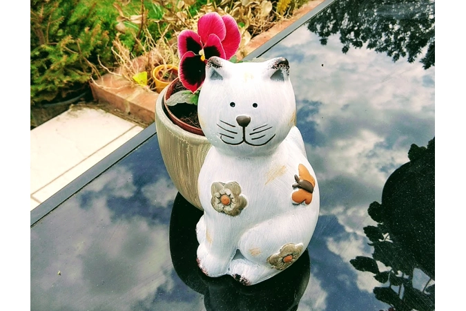 Cat Planter Cat Planter