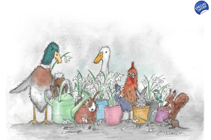 UK Wildlife Art Greeting Cards UK Wildlife Art Greeting Cards