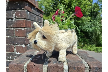 Dog Planter & Flowers Dog Planter & Flowers