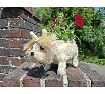 Dog Planter & Flowers