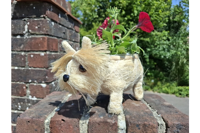 Dog Planter & Flowers Dog Planter & Flowers