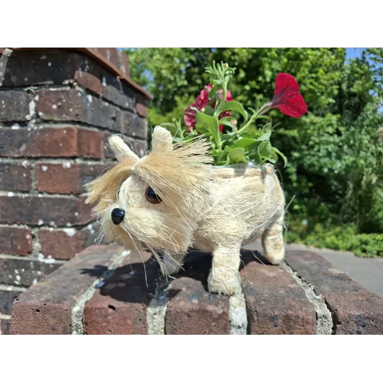 Dog Planter & Flowers