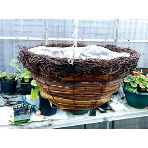 Empty Hanging Baskets