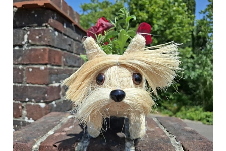 Dog Planter & Flowers Dog Planter & Flowers