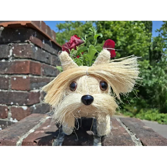 Dog Planter & Flowers