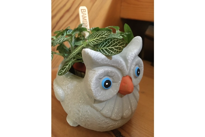 Terracotta Owl Terracotta Owl