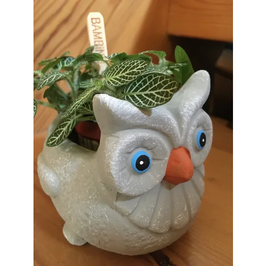 Terracotta Owl