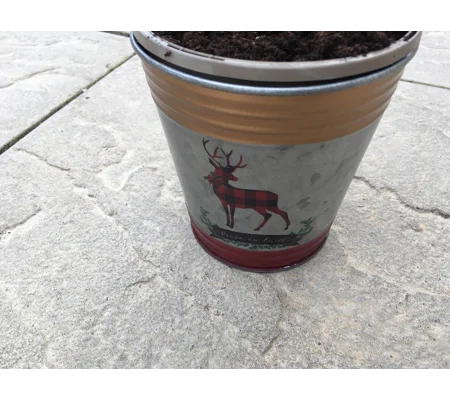 2 x Tin Pail Tartan Reindeer