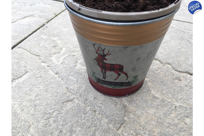 2 x Tin Pail Tartan Reindeer