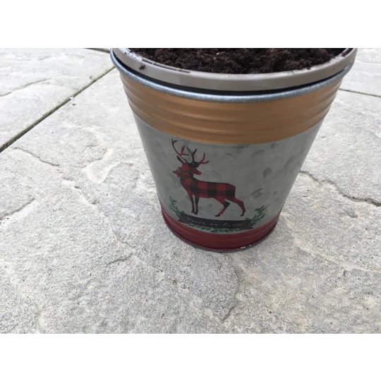 2 x Tin Pail Tartan Reindeer