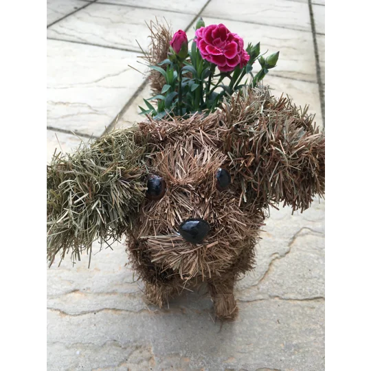 Dog Planter & Flowers