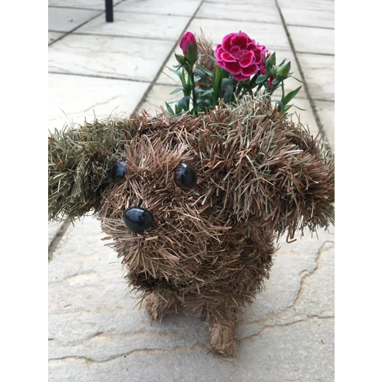 Dog Planter & Flowers