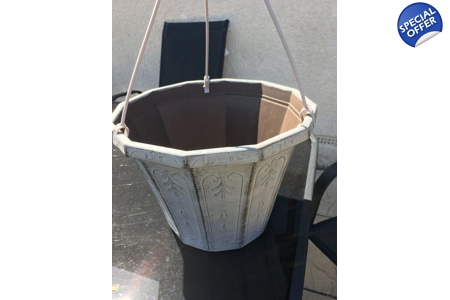 2 x Calista Hanging Baskets 2 x Calista Hanging Baskets