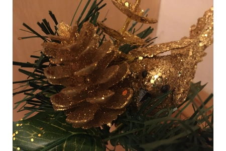 Christmas Picks Christmas Picks