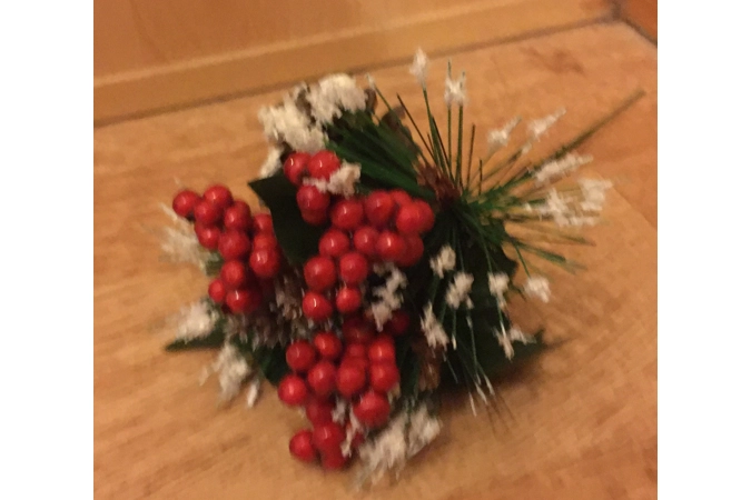 Christmas Picks Christmas Picks