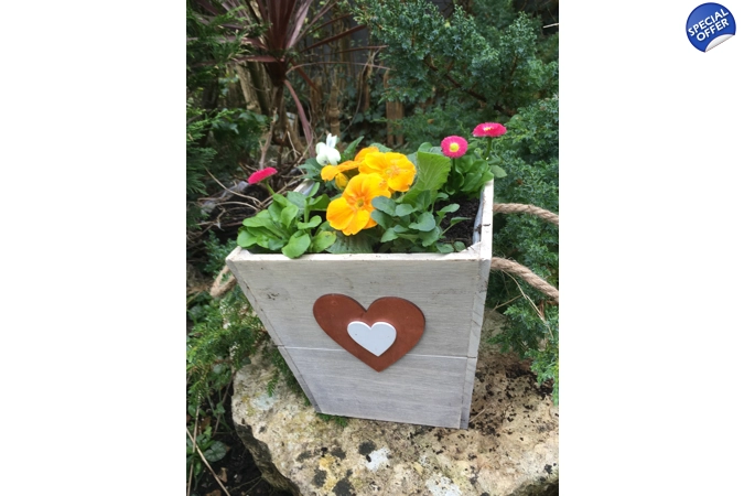 Wooden Planter with Seasonal Plants Wooden Planter with Seasonal Plants