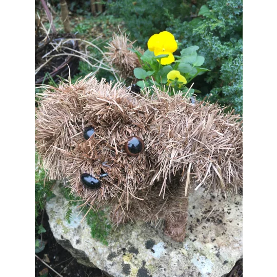 Dog Planter & Flowers
