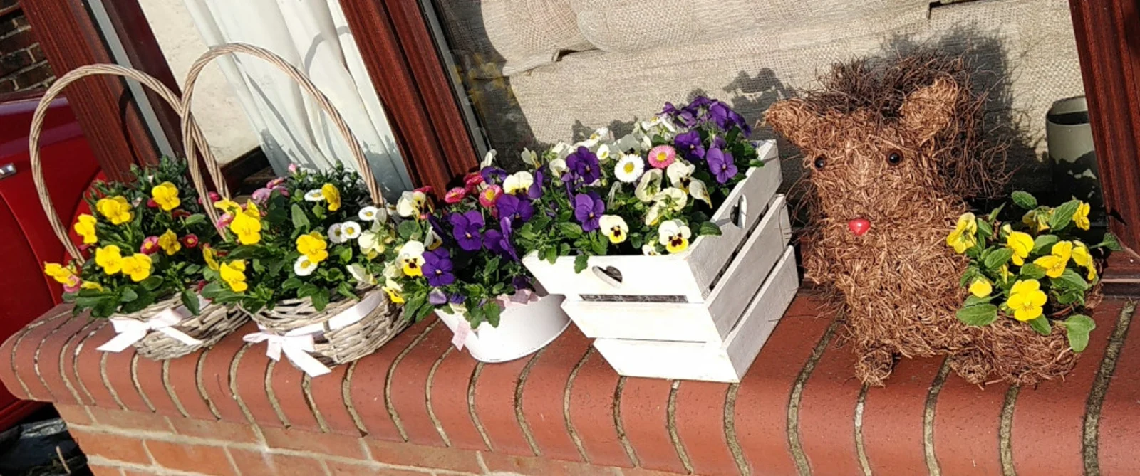 Planted baskets, crates and planters on a garden wall
