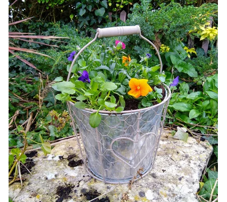 Pail Planter & Flowers