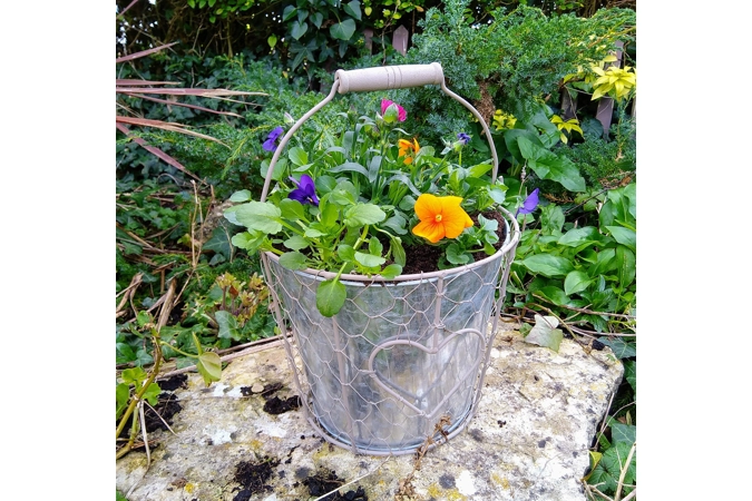 Pail Planter & Flowers Pail Planter & Flowers
