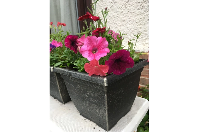Square Patio Pot With Seasonal Plants Square Patio Pot With Seasonal Plants