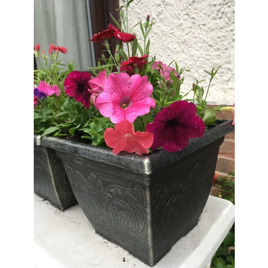 Square Patio Pot With Seasonal Plants